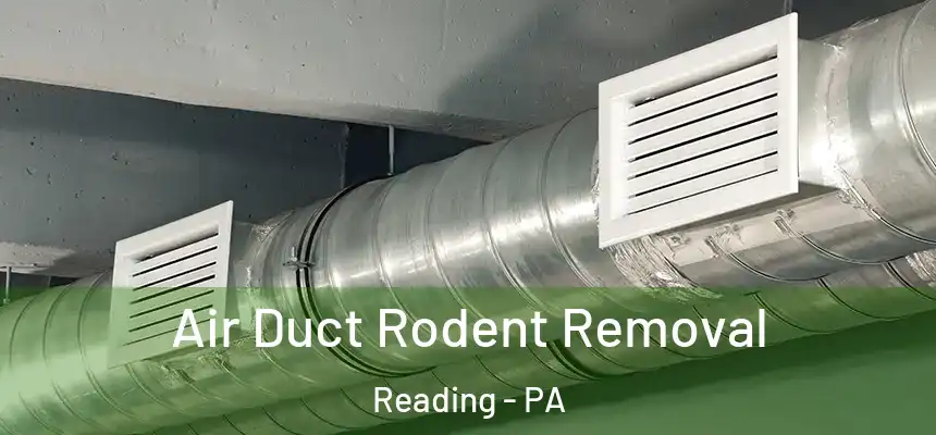  Air Duct Rodent Removal Reading - PA