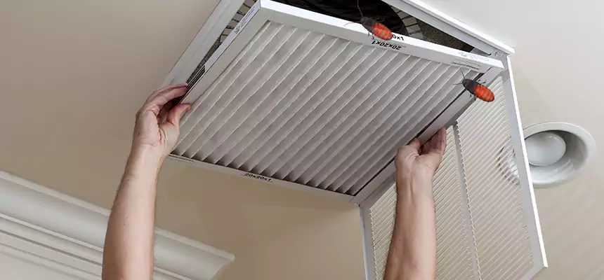 Preventive Cockroach-Proofing for Ducts in Reading