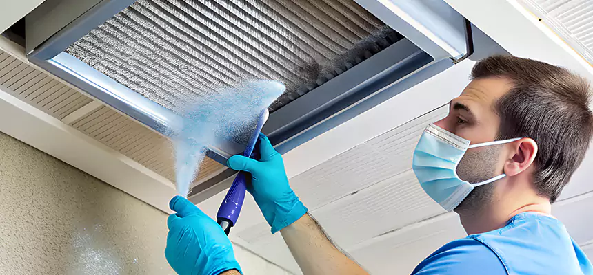 Proactive Dryer Vent & Auxiliary Duct Pollen Cleanup in Reading, PA