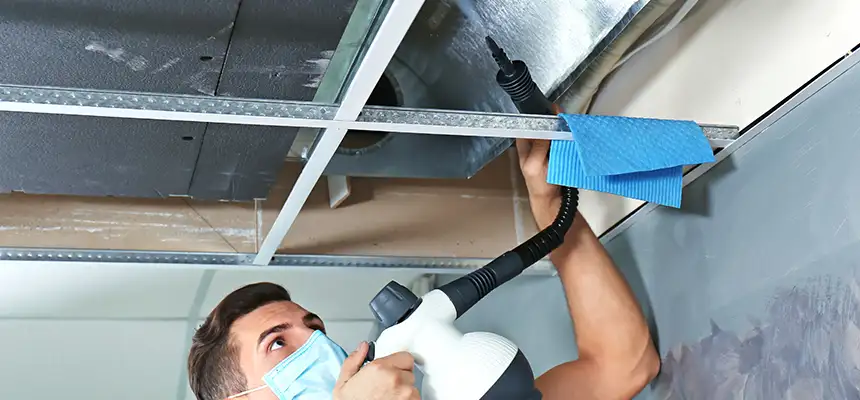 Our Air Duct Rodent Removal Services in Reading, PA