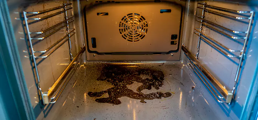 Our Dryer Vent Mold Cleaning Services in Reading, PA