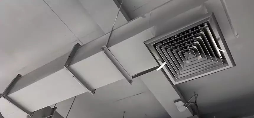 Our Pest Removal From Ducts Services in Reading, PA