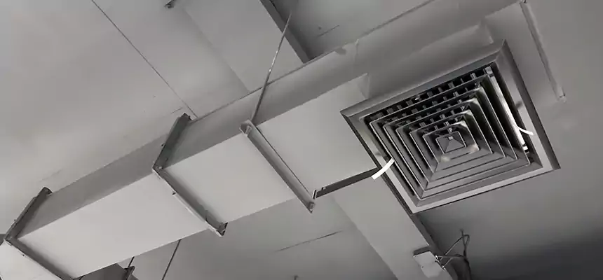 Our Rodent Droppings In Vents Services in Reading, PA