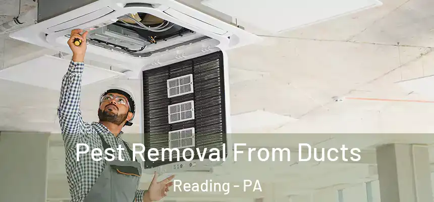 Pest Removal From Ducts Reading - PA