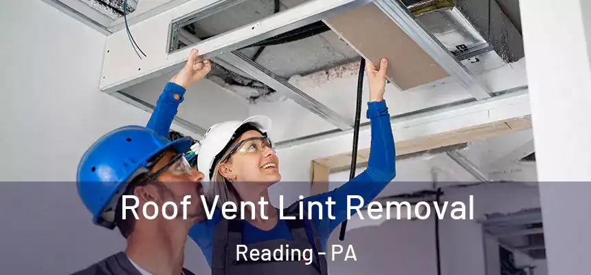  Roof Vent Lint Removal Reading - PA