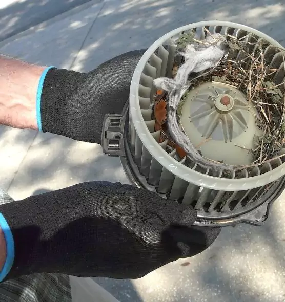 About Air Duct Rat Removal in Reading, PA